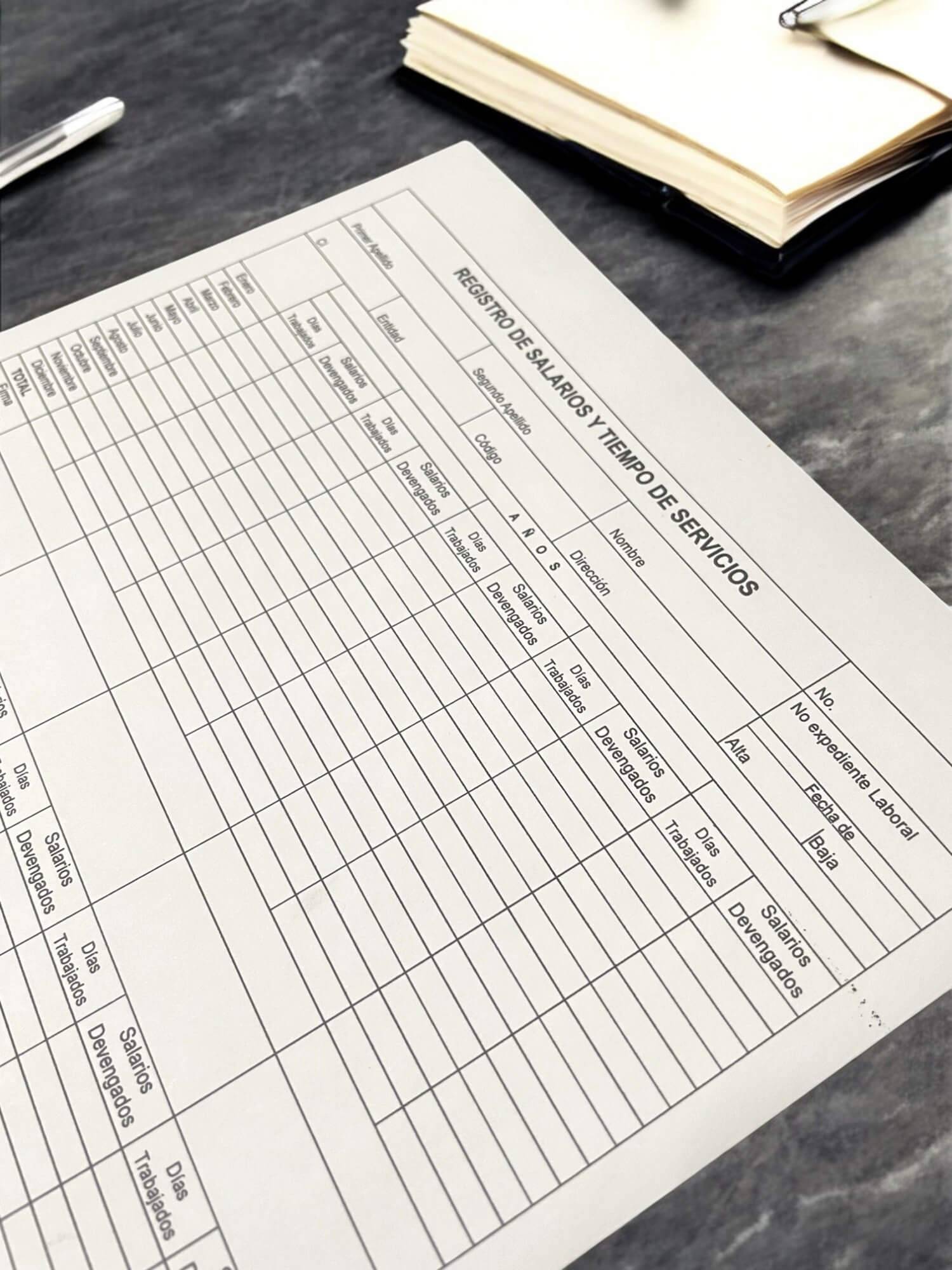 Imagen de tarjeta Snc-225 de registro de salarios