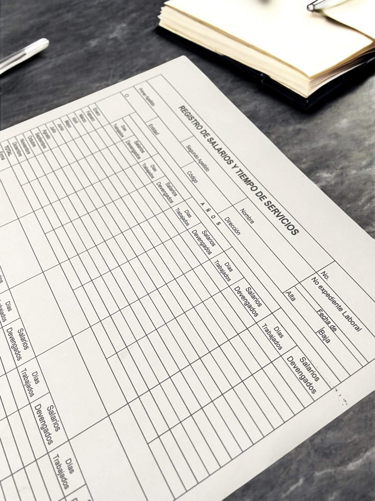 Imagen de tarjeta Snc-225 de registro de salarios